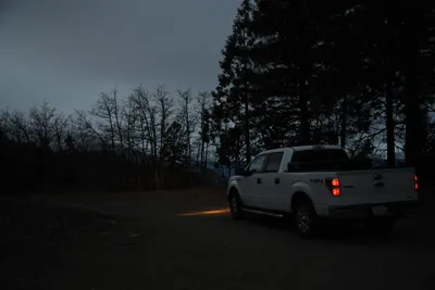 DSC_0156 (Large).JPG